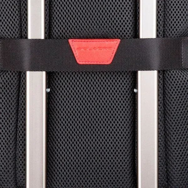 Рюкзак Piquadro Urban CA3214UB00/BLGR