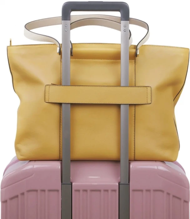 Сумка женская Piquadro Circle BD3336W92